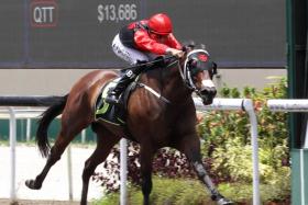 The Ricardo Le Grange-trained Renzo kicking clear to score his fourth victory, once jockey Bernardo Pinheiro took his mount through a gap in the final 200m of his Polytrack 1,200m race on Sunday. ST PHOTO: SHAHRIYA YAHAYA  