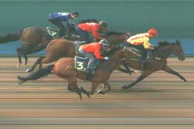 Lim&#039;s Kosciuszko (Wong Chin Chuen) beating the fast-finishng Super Salute (No. 3) in Trial 3 at Kranji on Thursday morning. He looks set for a back-to-back Lion City Cup victory on Aug 27. PHOTO: STC