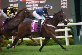 Lim’s Kosciuszko (Wong Chin Chuen) retaining his Lion City Cup crown by beating last-start Singapore Derby winner Golden Monkey (Hugh Bowman) on Sunday. The Daniel Meagher-trained and Lim&#039;s Stable-owned reigning Horse of the Year won the $300,000 Group 1 feature over 1,200m in 1min 08.94sec. 
