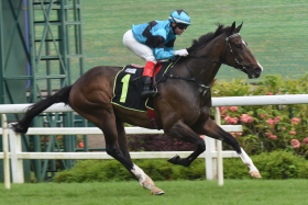 Newcomer Lord&#039;s Command giving champion jockey Manoel Nunes an armchair ride in Sunday&#039;s Open Maiden event over 1,200m in Race 2. His time of 1min 09.75sec is 0.01sec faster than The Big Easy&#039;s class record set in November, 2018. 