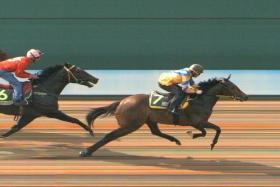 Empowering (Saifudin Ismail) winning his trial easily on July 27. With Saifudin atop on Wednesday, he impressed with a 36.4sec gallop over 600m. 