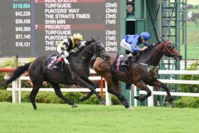 Real Efecto (Bernardo Pinheiro) beating Prioritize (No. 7) in the Class 4 event over 2,000m (turf) on June 3. The David Kok-trained stayer is oozing with form and is cherry-ripe for his seventh success on Saturday. ST PHOTO: SYAMIL SAPARI