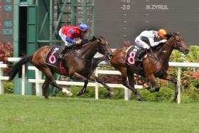 Eruption (No. 6) finishing second to Hasten first-up on Aug 20. He has made tremendous improvement and should land the $75,000 Restricted Maiden race over 1,200m at Kranji on Saturday. ST PHOTO: SHAHRIYA YAHAYA