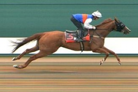 Teardrops (Bruno Queiroz) winning her trial easily on Sept 21. The six-year-old Argentinian-bred will be ridden by multiple Singapore champion Vlad Duric in the $50,000 Class 4 Div 2 event over the Polytrack 1,100m on Saturday. PHOTO: STC