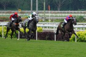 Great Warrior (right, finishing second to the grey Winning Stride on Aug 6) should break through on Saturday.