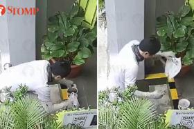 Delivery rider pours spilt soup back into container