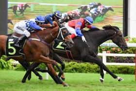 Eltite Jubilation (No. 5) charging home to finish a neck second to Black Storm over 1,600m on Jan 20. The additional 200m on Jan 27 will suit him to a tee.