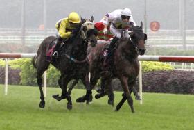 The Clyde Leck-ridden Smart One (No. 4) finishing fourth in a Class 5 1,400m event on May 12. The David Kok-trained galloper is coming to hand, evident by his eye-catching 34.7sec hitout over 600m on May 21.
