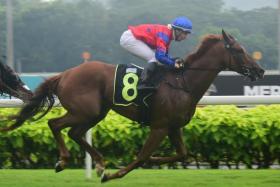 Lightning Strike (Ronnie Stewart) recording the second of his four straight wins in 2023 in a Class 4 1,600m race at Kranji on Oct 21.
