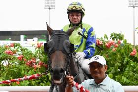 The Jason Ong-trained Per Incrown taking Manoel Nunes to his fourth visit to the Kranji winner's circle on May 25.