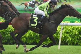 So Hi Class (Koh Teck Huat) pinning his ears back as he lands the Class 3 1,800m race on May 25.
