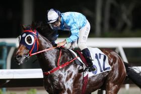 Matthew Poon and All For St Paul’s in an all-the-way win over the Sha Tin 1,650m on Oct 25, 2023. They will be looking to run their rivals ragged in Race 1 on May 29 on the all-weather surface again.