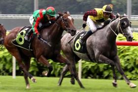 Flying Nemo (Carlos Henrique, No. 8) getting home in time to nose out Energy Baby (Ruan Maia) in a Class 3 1,400m event on a yielding track at Kranji on May 18. The Desmond Koh-trained galloper is in fine trim and looms as a lively chance in the Group 3 Silver Bowl (1,400m) on June 9.
