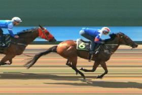 The Tim Fitzsimmons-trained Ravalli, with jockey Ryan Curatolo in the saddle, sweeping past long-time leader Smart Gambit to win his trial by one length in a sizzling 59.92sec on June 6. 
