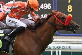 Australian jockey Daniel Moor, who saluted aboard Pacific Gold on June 1, has been entrusted with the job of steering the Jason Ong-trained Pacific Star home in the final event, a Class 4 1,400m contest, on June 9. 