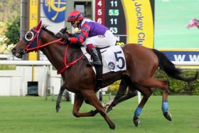 Happy Together, a six-time winner in Hong Kong, will have regular partner Alexis Badel to guide him in the Group 3 Premier Plate Handicap (1,800m) at Sha Tin on June 23.
