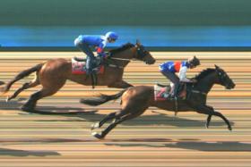 June (Daniel Moor) has half a length to spare from Tommy Gun (Ryan Curatolo) when winning Trial No. 3 on June 13.

