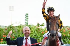 It has been four months since Tim Fitzsimmons' Golden Monkey, ridden by Chad Schofield, last won a race. It came in the Group 3 Fortune Bowl (1,400m) on Feb 11. 
