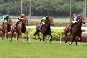 The Steven Burridge-trained Ghalib (Manoel Nunes) pulling away from odds-on favourite Golden Monkey (Ryan Curatolo, left) and So Hi Class (Koh Teck Huat, No. 5) in the Kranji Stakes A race (1,400m) on June 16.