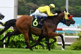 Citygold Lightning will not race in those all-yellow colours on June 22. He is among six City Gold horses sold to Phan Three Three Stable.
