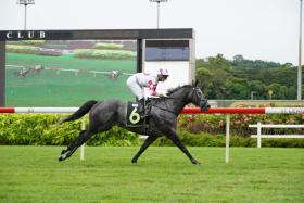 King Of Sixty-One (Ryan Curatolo) striding in an easy winner in the Class 3 (1,600m) at Kranji on June 22.