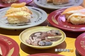 The incident came to light on June 20 after the student posted a picture of her pet gecko on a sauce plate at Sushiro.