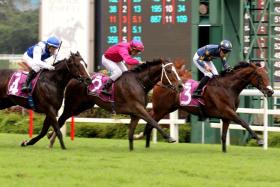 Lim&#039;s Saltoro (Marc Lerner, No. 3) beating Bestseller (Vlad Duric, No. 2) by a short head with Makin (Manoel Nunes, No. 4) third in the Group 2 Stewards&#039; Cup (1,600m) on June 30.