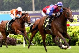 Ryan Curatolo bringing Greatham Boy with a well-timed run towards a slashing win in the Class 3 race (1,200m) at Kranji on June 30.
