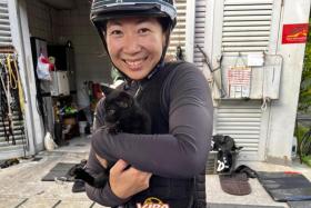 Jerlyn Seow with one of her favourite Kranji stray cats, Joey. Around 100 of such cats face an uncertain future when Singapore racing ends on Oct 5.
