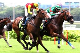 Spieth Heroine (Krisna Thangamani, No. 10) was hailed the winner when she struck the front at the 300m in an Open Maiden event over 1,600m on June 16, but Flying Fighter (Manoel Nunes, No. 4) came back to deny her by a neck. The James Peters-trained three-year-old filly jumps from barrier No. 1 in the Maiden race (1,400m) on July 7.
