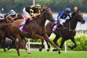 Golden Monkey (Hugh Bowman, No. 2) asserting his superiority in the Group 1 Singapore Derby (1,800m) on July 23, 2023. 

