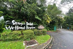 Some visitors were seen putting ice packs on their heads after getting stung by bees at Sungei Buloh Wetland Reserve.