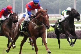 Lightning Strike (No. 1, Vlad Duric) winning a Class 4 Div 1 1,800m race on Dec 30, 2023. He will have Hugh Bowman aboard in the Singapore Derby on July 21.


