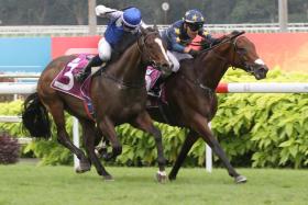 The concluding stages of the Group 1 Singapore Derby (1,800m) on July 21, going the way of Lim&#039;s Saltoro (Marc Lerner), who fought back on the inside to regain the advantage on a gallant Makin (Manoel Nunes).