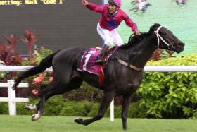 A jubilant and goggleless Bruno Queiroz celebrating aboard Ace Of Diamonds after landing the Group 2 Singapore Guineas (1,600m) at Kranji on May 18.
