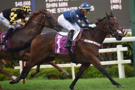Lim’s Kosciuszko (Wong Chin Chuen) beating Golden Monkey (Hugh Bowman) by one length at his second Lion City Cup win on Aug 27, 2023. The arch-rivals meet again in the Group 1 1,200m contest for the third time on July 28.
