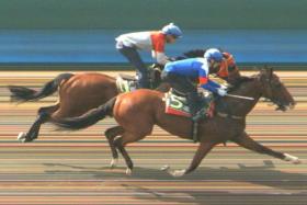 Dream Alliance (Ryan Curatolo) getting up in time to nab Red Dot (Bernardo Pinheiro) by a neck in Trial 2 at Kranji on Aug 1. 
