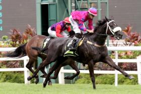 Hole In One (Bernardo Pinheiro) staving off Great Warrior (Manoel Nunes) to claim the Class 4 race (1,600m) at Kranji on Aug 11.