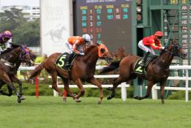 Pacific Atlantic (Daniel Moor, No. 5) catching the eye when powering home for a gallant second to Dancing Supremo (Ryan Curatolo) in a Class 4 1,200m race on July 21. 