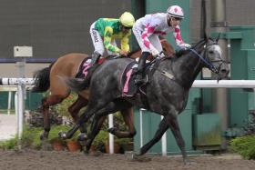 King Of Sixty-One (Ryan Curatolo) beating Aniki (Bruno Queiroz) to land the Class 3 race (1,600m) on Polytrack for his fifth win at Kranji.