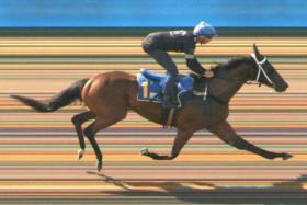 Strike Gold (Bernardo Pinheiro) overcomes a bad start on Aug 20 and thrashes his only rival by more than seven lengths despite being eased up. 
