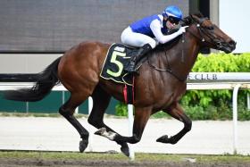 The Steven Burridge-trained Ghalib (Manoel Nunes) galloping away to one of his seven wins. The 102-point rater from the Al-Arabiya Stable will be hard to beat in the Kranji Stakes A race (1,200m) on Polytrack on Aug 25.
