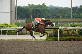 The Jason Ong-trained Pacific Vampire (Bruno Queiroz) strolling away to an easy win in the Kranji Stakes A race (1,200m) on Aug 25.