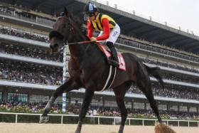 Crown Pride (Yuga Kawada) obliterating his rivals in the Korea Cup (1,800m) on the sand track at Seoul Racecourse on Sept 10, 2023. Takeshi Yokoyama takes over from Kawada in the saddle at the defending champion&#039;s bid for back-to-back titles on Sept 8.