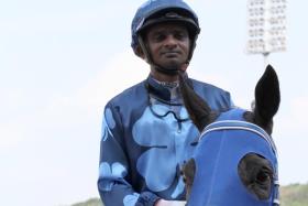 Jockey Krisna Thangamani has shown enhanced polish in the saddle in the 2024 season, notching up 17 winners, including the latest, Sacred Command (pictured), on Sept 1.
