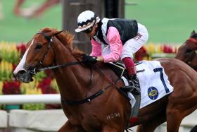 The Pierre Ng-trained Beauty Waves winning a Class 2 race (1,200m) under Alexis Badel at Sha Tin on July 14. He will contest the Class 1 HKSAR Chief Executive’s Cup Handicap (1,200m) at the same track on Sept 8.