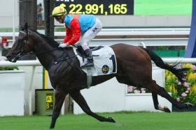 The David Hayes-trained Ka Ying Rising (Zac Purton) winning the Class 1 HKSAR Chief Executive’s Cup Handicap (1,200m) at Sha Tin on Sept 8.
