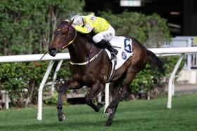 Super Joy N Fun, with the advantage of an inside gate and 2kg claimer Jerry Chau aboard, looks the one to beat in Race 8 at Happy Valley on Sept 11.