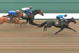 Takhi, with his trainer Richard Lim in the irons, finishing the best to beat Awesome Conqueror (Saifudin Ismail) and Super Pan Swiftly (Sazali Ramli) at the only trial held on Sept 10.


