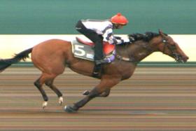 Pacific Vampire (Bruno Queiroz) scoring another dominant all-the-way barrier trial win at Kranji on Sept 12.
